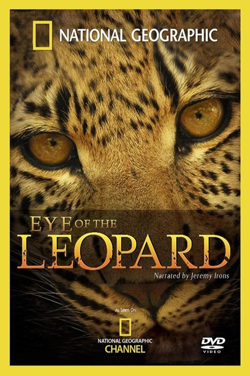 Постер Eye of the Leopard